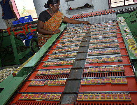 Quenker Worker arranging matchboxes on production line at a safety matches manufacturing unit